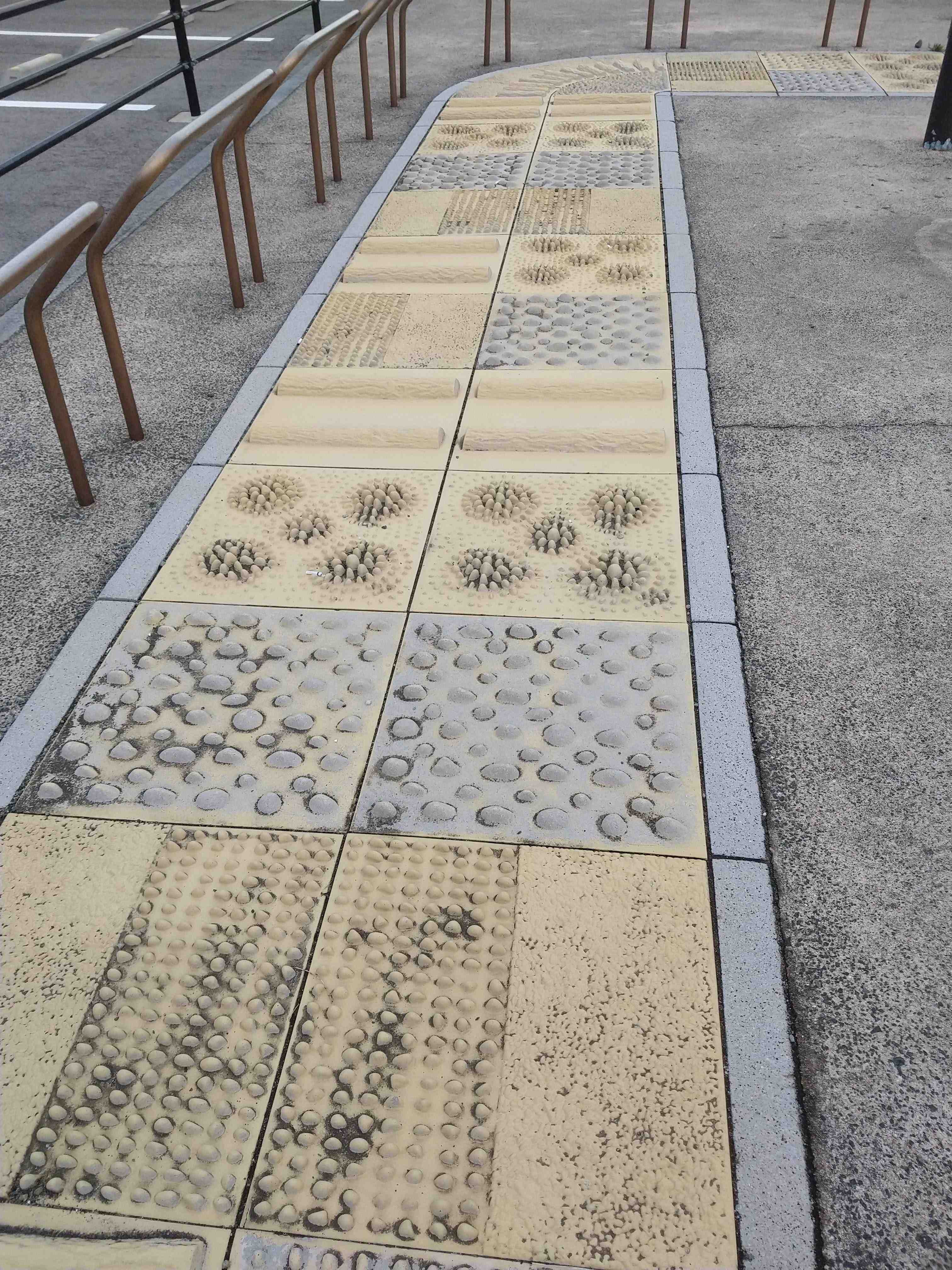 🌳 시로이 종합공원 (시로이소고코엔) 이미지 7